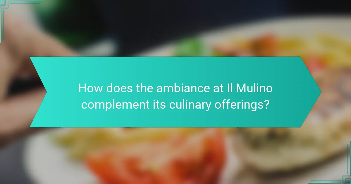 How does the ambiance at Il Mulino complement its culinary offerings?