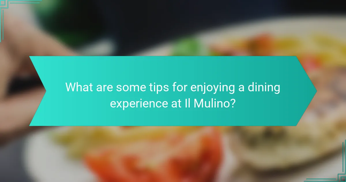 What are some tips for enjoying a dining experience at Il Mulino?