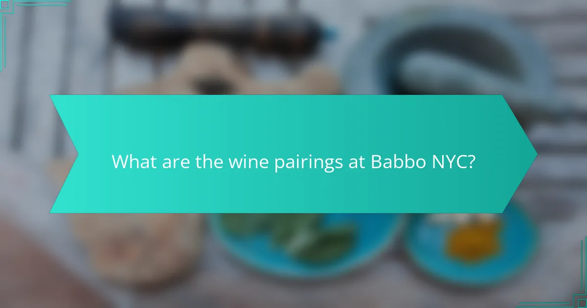 What are the wine pairings at Babbo NYC?