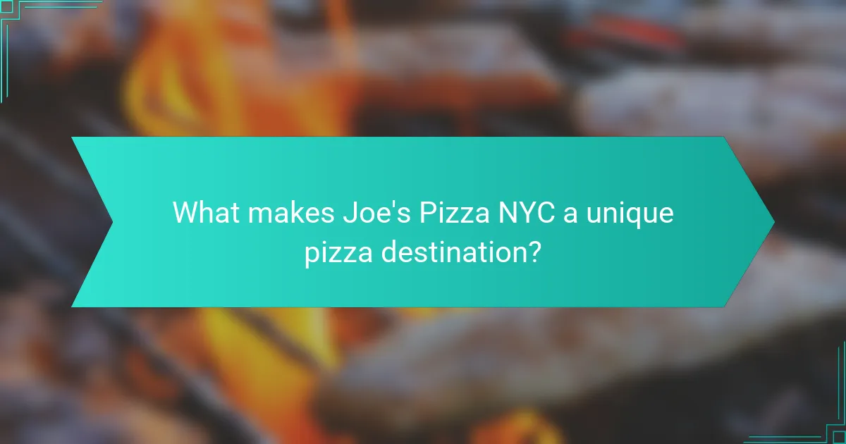 What makes Joe's Pizza NYC a unique pizza destination?