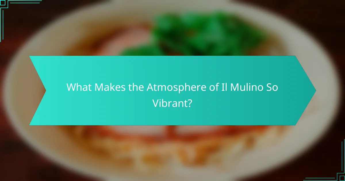 What Makes the Atmosphere of Il Mulino So Vibrant?