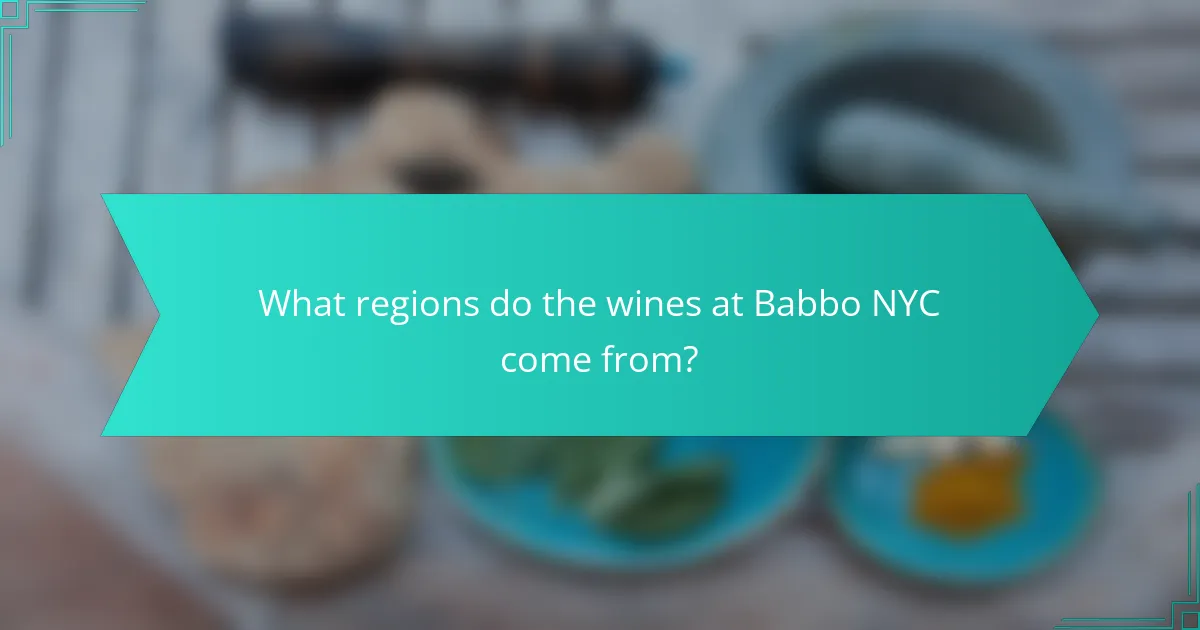 What regions do the wines at Babbo NYC come from?